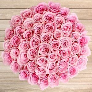 Meet your Posher, Lorrie